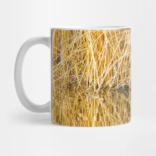 Common Coot in the Wild Mug